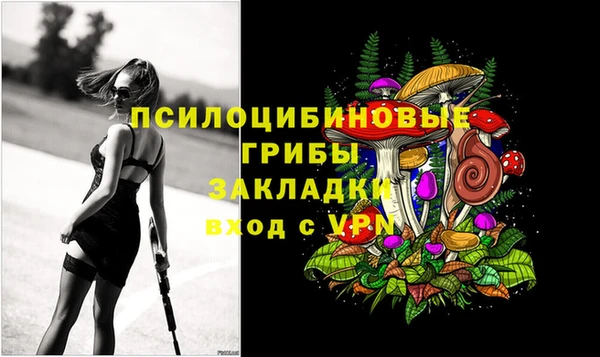 МДПВ Белокуриха