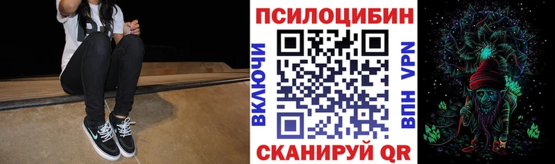 Псилоцибиновые грибы мицелий как найти Берёзовка